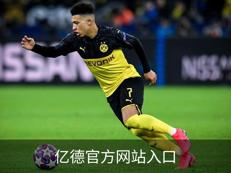 亿德官方网站入口品牌故事